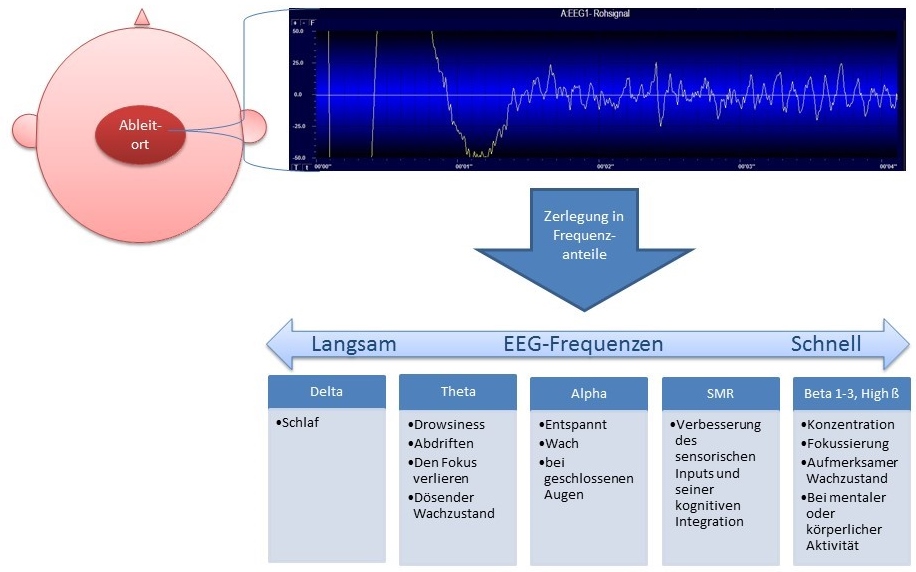 Neurofeedback_Training_EEG_Rhythmen.jpg